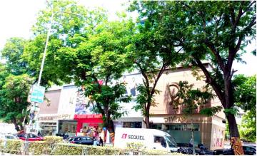 Dream Business House